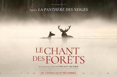 Ciné rencontre “Le chant des forêts”