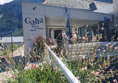 Immersion au Musée Galta